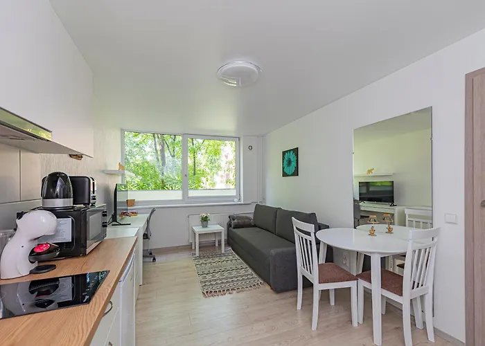 Partizanu Studio Apartment #2 By Polo Apartments
